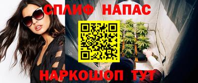 Альфа ПВП Нальчик