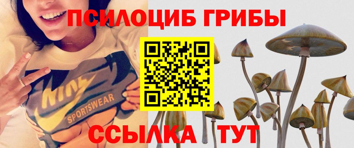 Галлюциногенные грибы мицелий  Галлюциногенные грибы прущие грибы  Владикавказ  Вход с VPN 